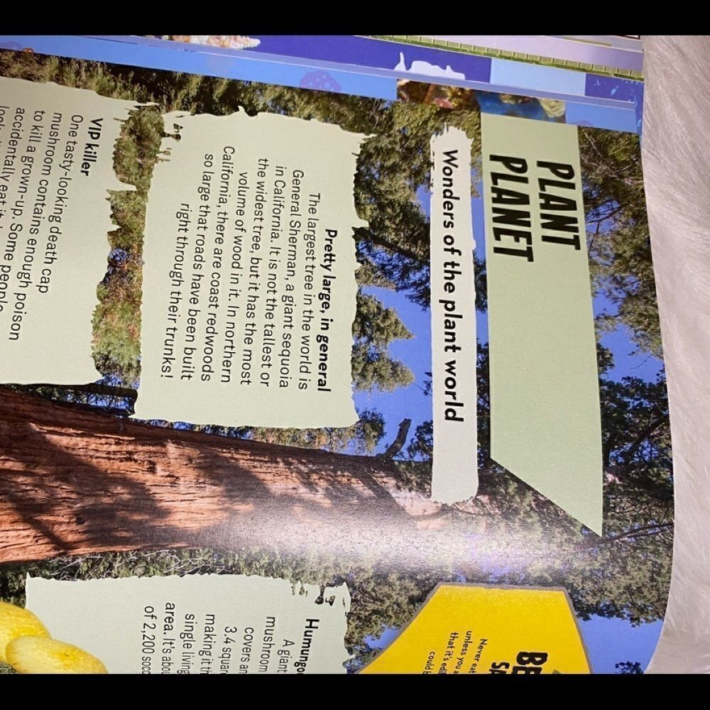Bear Grylls Extreme Planet book - Picture 15 of 15